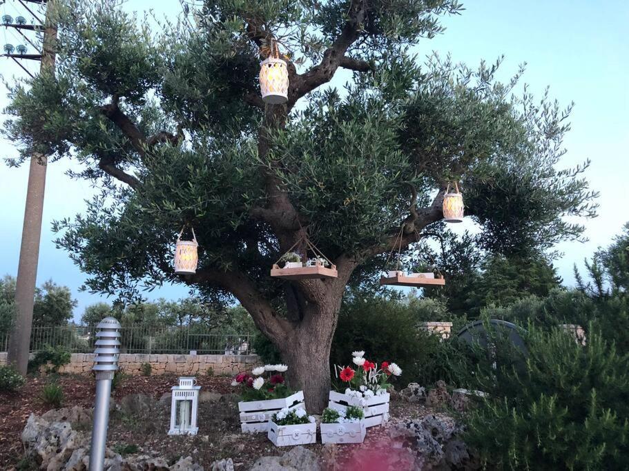 Villa Catia Alberobello Exteriör bild